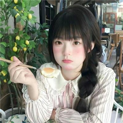 龙年档案