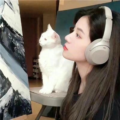 盟军